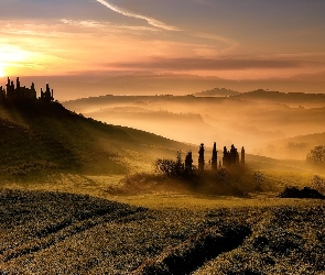 Włochy, Tosaknia, Drzewa, Mgła, Wschód słońca, Wzgórza