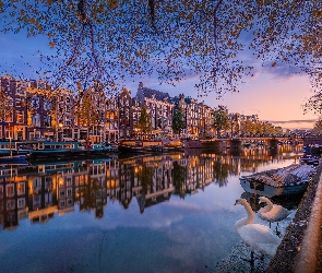 Amsterdam, Jesień, Holandia, Kanał, Łabędzie, Domy, Łodzie, Drzewa