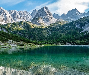 Góry, Austria, Jezioro Seebensee, Mieming Range, Porośnięte