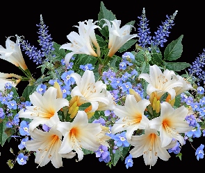 Kwiaty, Czarne, Kwiatki, Tło, Liście, Niebieskie, Bukiet, Białe, Lilie