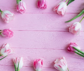 Deski, Różowe, Kwiaty, Tulipany