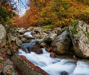 Jesień, Kamienie, Rio Ara, Skały, Rezerwat przyrody, Aragonia, Posets Maladeta, Drzewa, Hiszpania, Rzeka