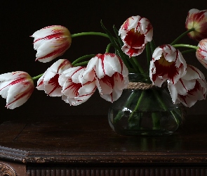 Stolik, Wazon, Tulipany, Biało-czerwone