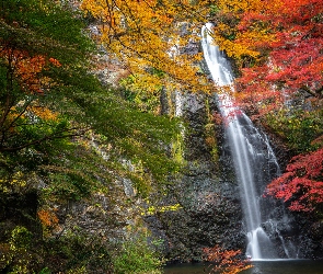 Kolorowe, Wodospad Minoo, Jesień, Skała, Osaka, Drzewa, Japonia, Park Narodowy Meiji no Mori Mino Quasi