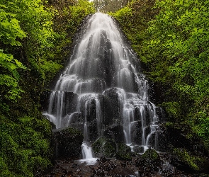 Oregon, Fairy Falls, Drzewa, Stany Zjednoczone, Wodospad, Las, Skała