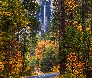 Jesień, Kalifornia, Bridalveil Fall, Stany Zjednoczone, Park Narodowy Yosemite, Wodospad, Las, Drzewa, Droga