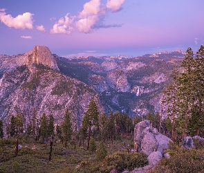 Szczyt, Góry, Kalifornia, Half Dome, Drzewa, Stany Zjednoczone, Park Narodowy Yosemite