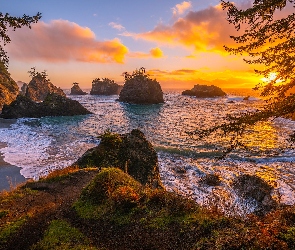 Zachód słońca, Oregon, Wybrzeże Park stanowy, Stany Zjednoczone, Samuel H Boardman State Scenic Corridor, Drzewa, Morze, Wysepki, Skały