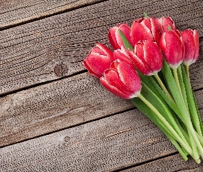 Kwiaty, Tulipany, Czerwone, Wiązanka, Deski