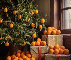 Okno, Prezenty, Pomarańcze, Drzewko
