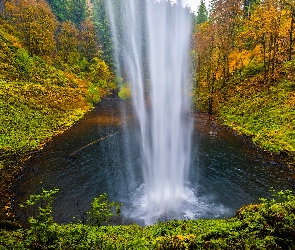 Oregon, Park stanowy Silver Falls, Las, Stany Zjednoczone, Jesień, Wodospad South Falls, Drzewa