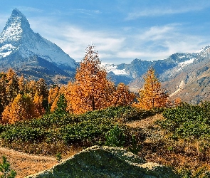 Szwajcaria, Modrzewie, Drzewa, Rośliny, Żółte, Matterhorn, Góra, Alpy Penińskie, Szczyt