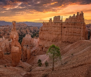 Zachód słońca, Roślinność, Stan Utah, Chmury, Skały, Stany Zjednoczone, Park Narodowy Bryce Canyon