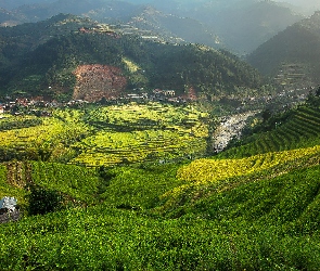 Wietnam, Mu Cang Chai, Tarasy ryżowe, Pola uprawne, Góry, Wzgórza