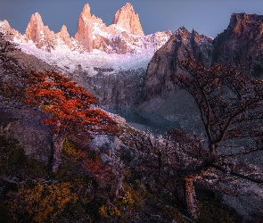 Jezioro, Szczyt Fitz Roy, Patagonia, Drzewa, Góry, Argentyna, Ośnieżone