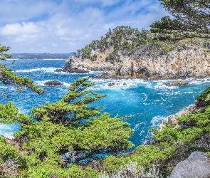 Skały, Rezerwat przyrody, Morze, Rośliny, Kalifornia, Drzewa, Stany Zjednoczone, Point Lobos