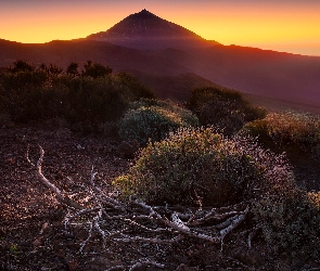 Konary, Teide, Teneryfa, Zachód słońca, Wulkan, Hiszpania, Góra