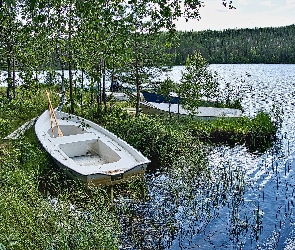 Jezioro, Drzewa, Łódki, Szuwary