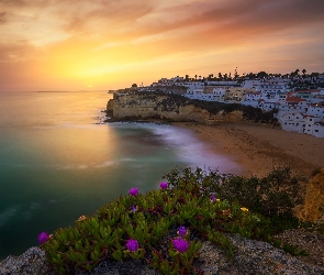 Carvoeiro, Wybrzeże, Portugalia, Morze, Domy, Region Algarve, Zachód słońca, Kwiaty