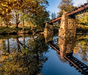 Drzewa, Odbicie, Rzeka, Most