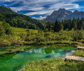 Słowenia, Obłoki, Pomosty, Kranjska Gora, Las, Drzewa, Jezioro, Rezerwat przyrody Zelenci, Góry, Trawa