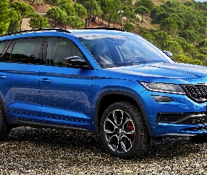 Skoda Kodiaq, RS