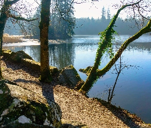 Głazy, Jezioro, Drzewa, Ścieżka