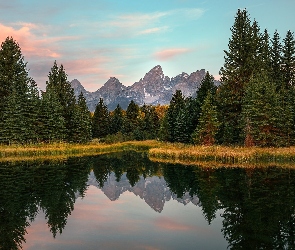 Rzeka Snake River, Drzewa, Park Narodowy Grand Teton, Las, Stan Wyoming, Góry Teton Range, Stany Zjednoczone, Odbicie