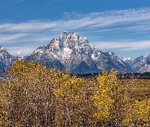 Jesień, Wyoming, Mount Woodring, Stany Zjednoczone, Park Narodowy Grand Teton, Góra, Drzewa, Góry, Teton Range