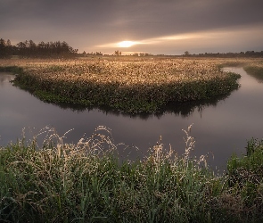 Nizina Podlaska, Trawy, Polska, Rzeka, Wschód słońca, Podlasie, Mgła, Łąka