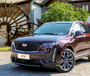 SUV, Wiśniowy, Cadillac XT6