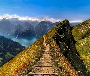 Ścieżka, Jezioro Czterech Kantonów, Góry, Natura, Lake Lucerne, Szwajcaria, Alpy