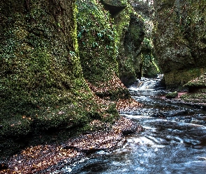 Wąwóz Finnich Glen, Carnock Burn, Rzeka, Skały, Szkocja