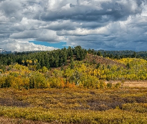 Góry, Drzewa, Park Narodowy Grand Teton, Pole, Stan Wyoming, Teton Range, Stany Zjednoczone, Chmury