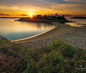 Morze, Zachód słońca, Plaża, Drzewa, Bretania, Skały, Francja, Saint Briac sur Mer