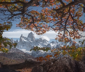 Góry Andy, Park Narodowy Los Glaciares, Jesień, Fitz Roy, Patagonia, Góra, Argentyna, Drzewa