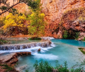 Rzeka, Kaskada, Park Narodowy Grand Canyon, Drzewa, Skały, Stany Zjednoczone, Havasupai Indian Reservation