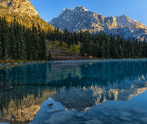 Jezioro, Drzewa, Góry, Las, Kolumbia Brytyjska, Emerald Lake, Kanada, Park Narodowy Yoho