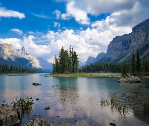 Jezioro, Kamienie, Góry, Drzewa, Park Narodowy Jasper, Maligne Lake, Kanada, Brzeg