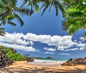 Palmy, Plaża Makena, Wyspa Maui, Skały, Chmury, Hawaje, Morze