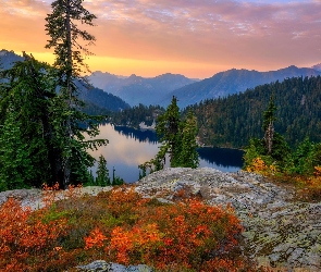 Stany Zjednoczone, Drzewa, Góry Kaskadowe, Krzewy, Skały, Snow Lake, Stan Waszyngton, Hrabstwo King County, Jezioro