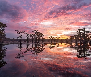 Caddo Lake, Zachód słońca, Jezioro, Drzewa, Stan Teksas, Las, Stany Zjednoczone, Chmury