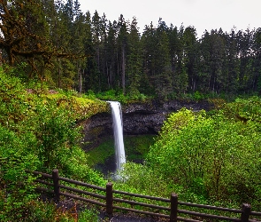 Stan Oregon, Park stanowy Silver Falls, South Falls, Stany Zjednoczone, Drzewa, Wodospad, Skały