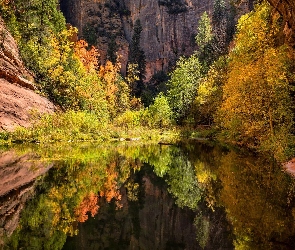 Stan Arizona, Wąwóz, Stany Zjednoczone, Skały, Drzewa, Sedona, Odbicie, Rzeka