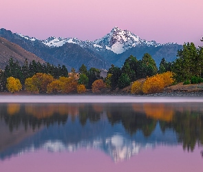 Drzewa, Ashburton Lakes, Góry, Park Narodowy Góry Cooka, Jezioro, Nowa Zelandia, Mount D Archaic