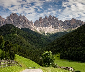 Włochy, Drzewa, Kościół, Lasy, Południowy Tyrol, Dolomity, Val di Funes, Odle, Dolina, Góry, Domy, Chmury, Masyw