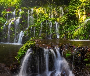 Bali, Wodospad, Indonezja, Las tropikalny, Roślinność, Okręg Buleleng, Skały, Banyu Wana Amertha Falls