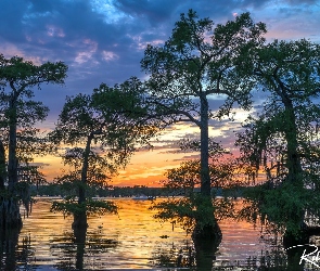 Stan Teksas, Zachód słońca, Caddo Lake, Stany Zjednoczone, Cyprysy, Jezioro, Drzewa