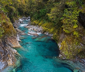 Otago, Skały, Nowa Zelandia, Wąwóz, Makarora River, Park Narodowy Mount Aspiring, Roślinność, Rzeka