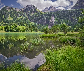 Gmina Lauenen, Trawa, Alpy Berneńskie, Szwajcaria, Drzewa, Góry, Jezioro Lauenensee